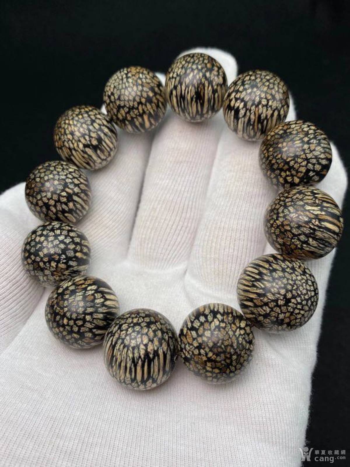 柬埔寨龙鳞纹沉香,尺寸:2.0cm 重50克左右,天然黑油沉>