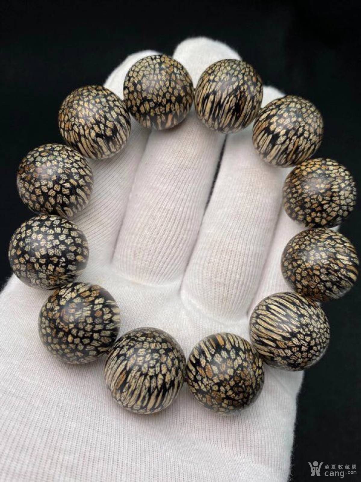 柬埔寨龙鳞纹沉香,尺寸:2.0cm 重50克左右,天然黑油沉>