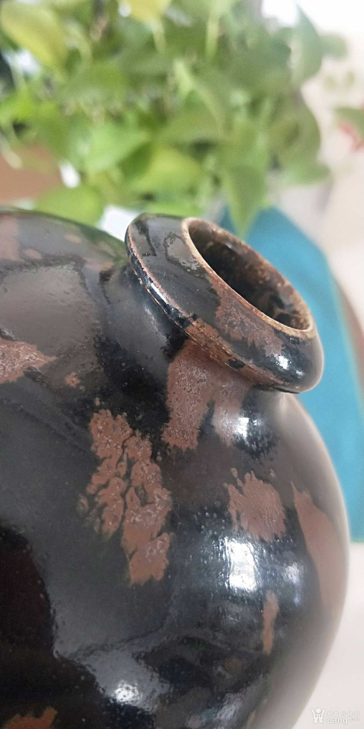 磁州窑铁锈花梅瓶>