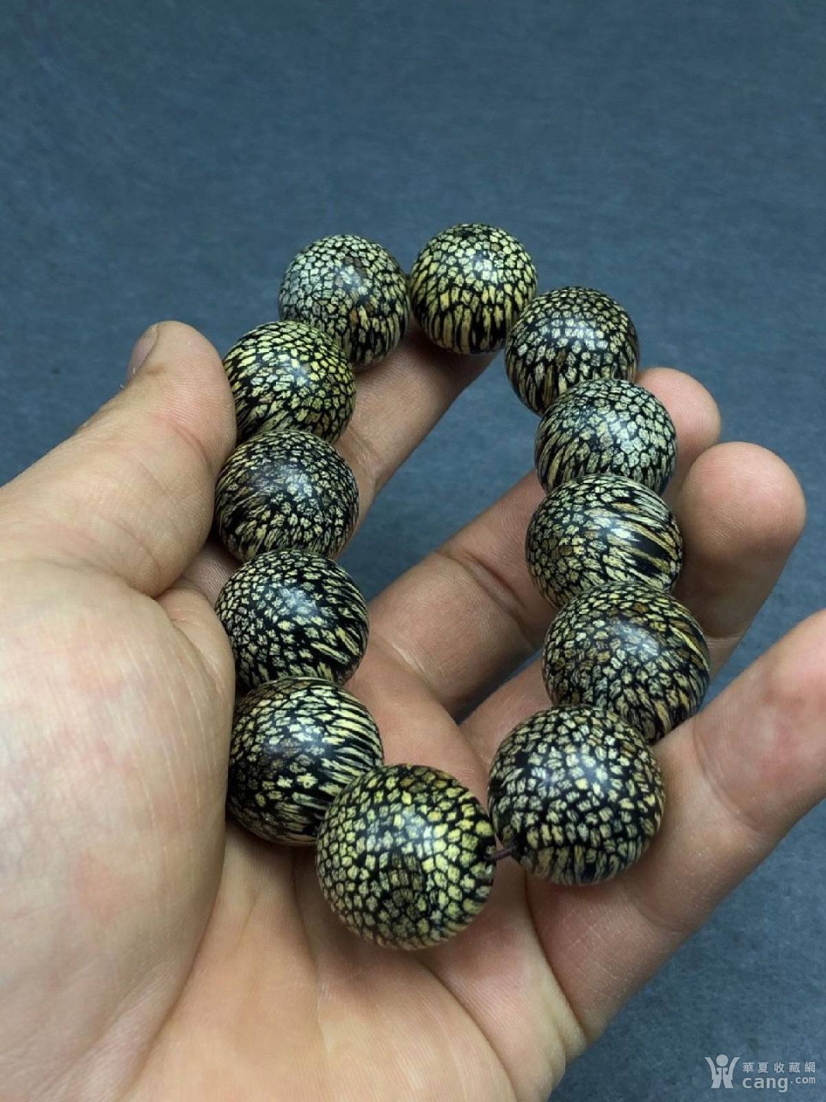 越南龙鳞纹沉香 ,油脂漂亮 漂亮极致,规格:2.0重:52.