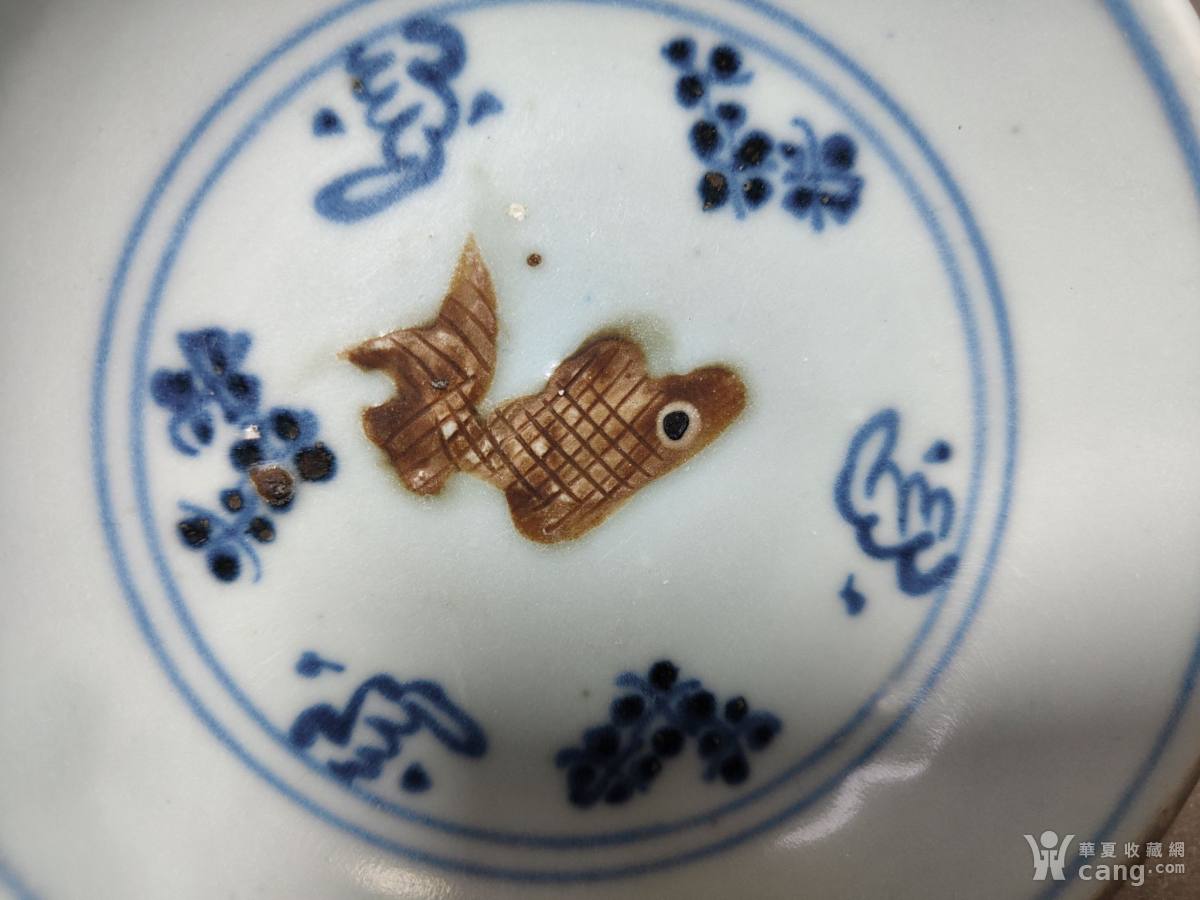 中早期青花釉里红鱼洗